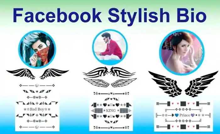 facebook stylish bio