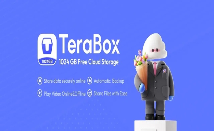 terabox watch online