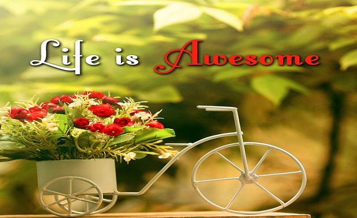 life unique dp quotes