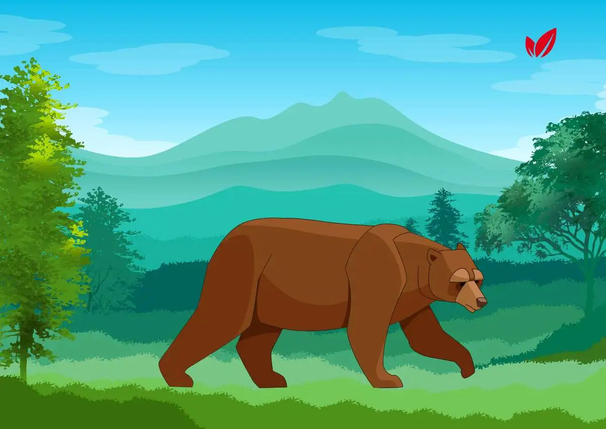 How the Bear Lost His Tail