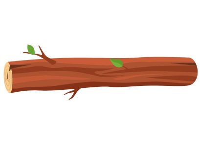 The Flying Trunk Story in English