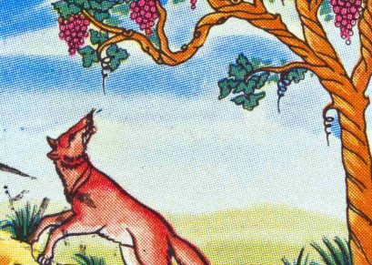 The Fox and the Grapes Story For Kids