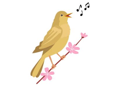 The Nightingale, Interesting Story For Kids