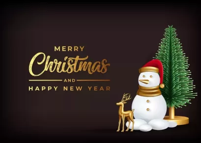 Best 60 xmas wishes for friends​ to share